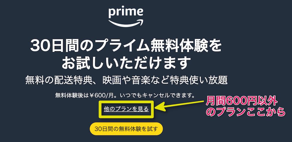 月間600円以外のプランは「他のプランを見る」から進む